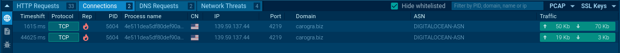 Any.Run connections tab